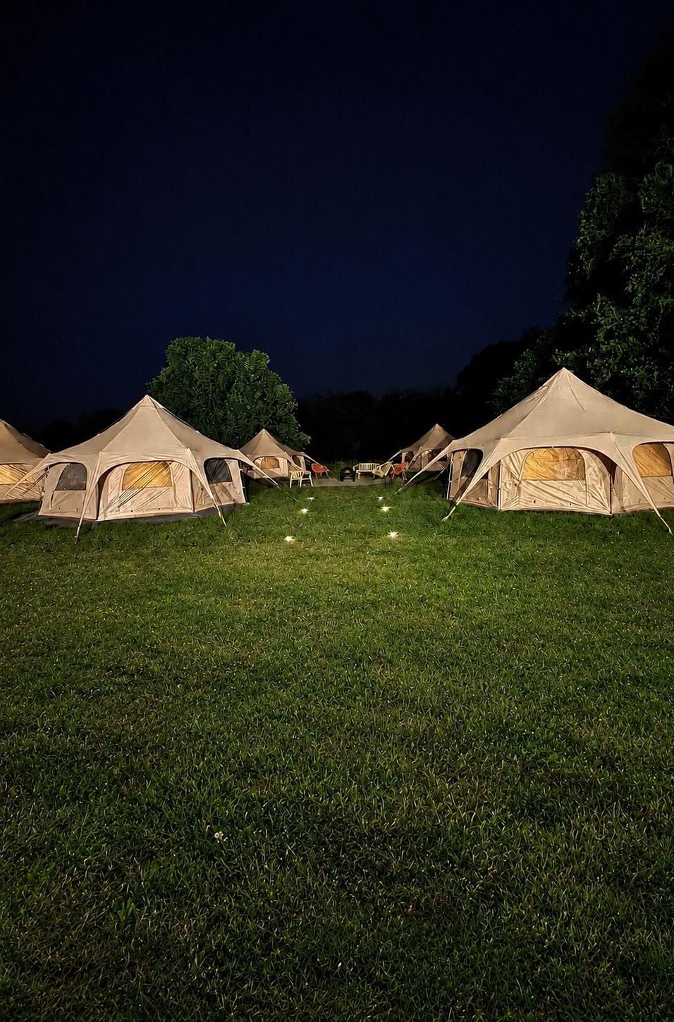 Les lodges éclairés dans le pré à la nuit tombée